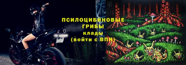 мяу мяу мука Алзамай