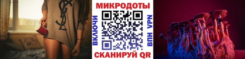 купить   Гаврилов Посад  Галлюциногенные грибы мухоморы 